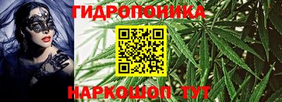 PSILOCYBIN Краснознаменск