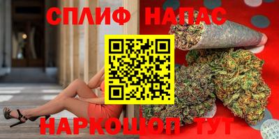 спиды Краснодар