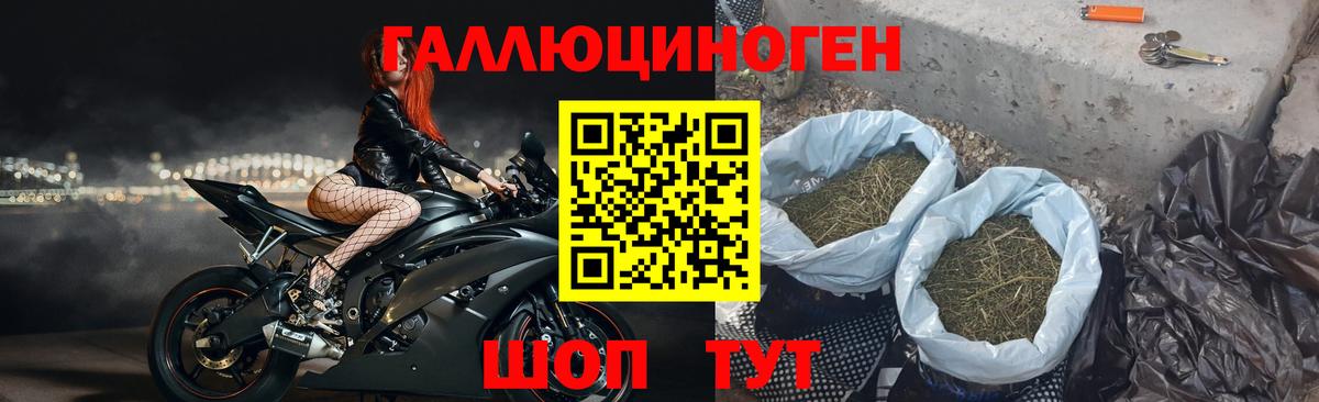 Кольчугино  Галлюциногенные грибы Magic Shrooms  Галлюциногенные грибы GOLDEN TEACHER  Вход с VPN 