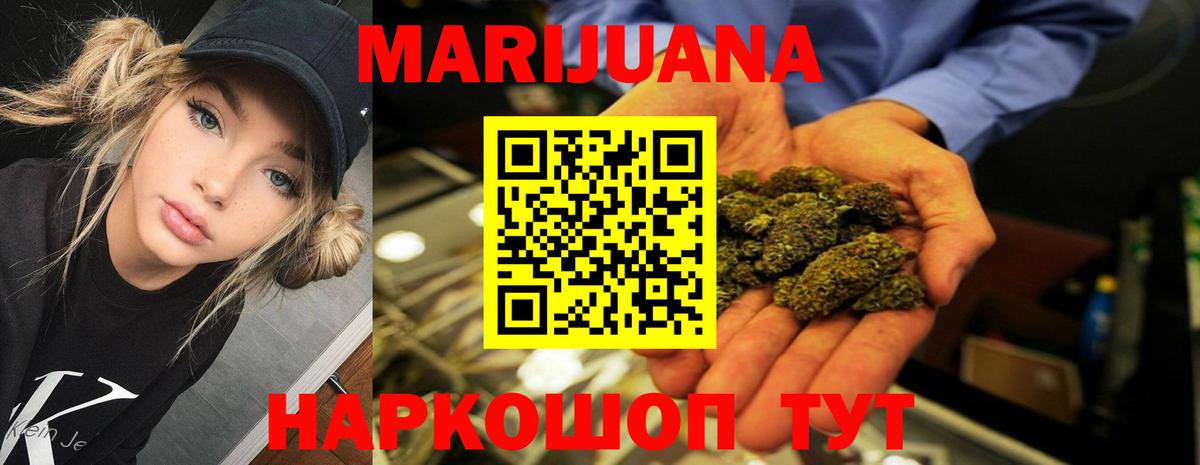 Конопля планчик Кольчугино